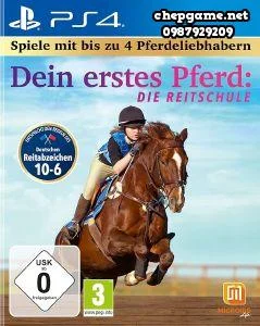 Dein erstes Pferd Die Reitschule