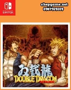 Double Dragon Advance
