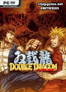 Double Dragon Advance
