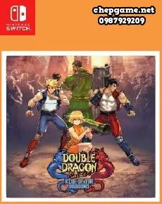 Double Dragon Gaiden Rise of the Dragons