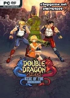 Double Dragon Gaiden Rise Of The Dragons