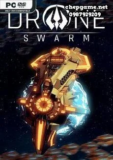 Drone Swarm