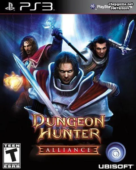 Dungeon Hunter Alliance PSN