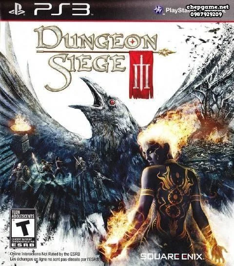 Dungeon Siege 3