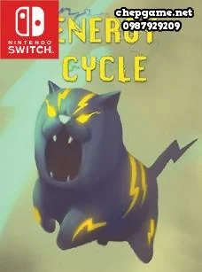 Energy Cycle