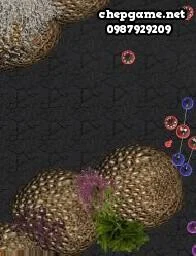 Evolution (Early Access)