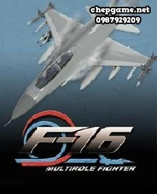 F 16 Multirole Fighter