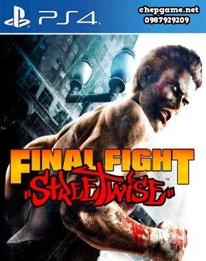 Final Fight Streetwise
