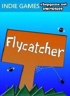 Flycatcher