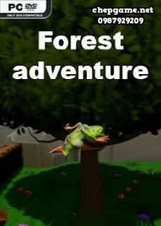Forest adventure