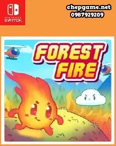 Forest Fire