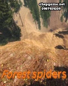 Forest Spiders