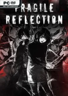 Fragile Reflection