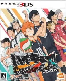 Haikyuu Cross Team Match