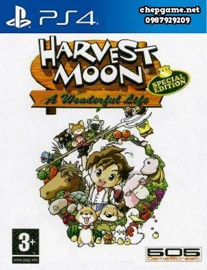 Harvest Moon A Wonderful Life Special Edition