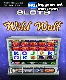 IGT Slots Wild Bear Paws