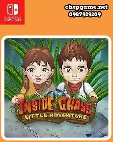 Inside Grass A little adventure