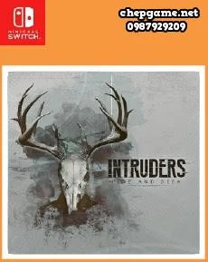 Intruders Hide and Seek