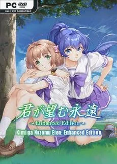 Kimi ga Nozomu Eien Enhanced Edition