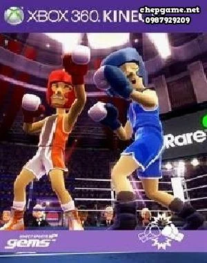Kinect Sports Gems Boxing Fight