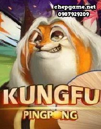 Kung Fu Ping Pong