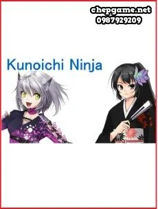 Kunoichi Ninja
