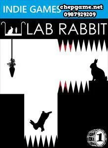 Lab Rabbit
