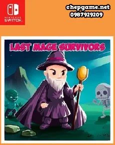 Last Mage Survivors
