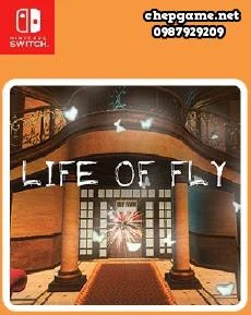 Life of Fly