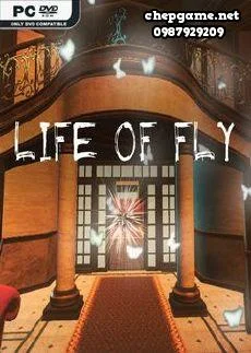 Life of Fly