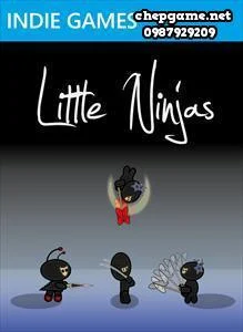 Little Ninjas