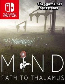 MIND Path To Thalamus