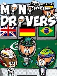 Mini Drivers