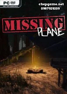 Missing Plane Survival