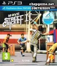 Move Street Cricket 2