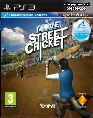 Move Street Cricket
