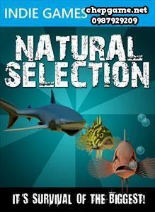 Natural Selection
