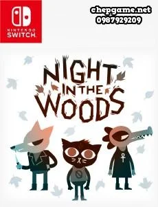 Night In The Woods