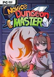 Novice Dungeon Master