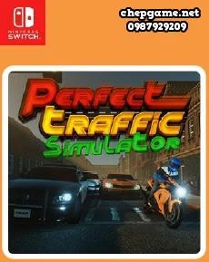 Perfect Traffic Simulator