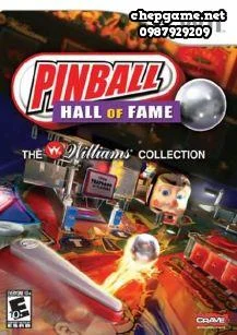Pinball Hall of Fame The Williams Collection