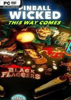 Pinball Wicked