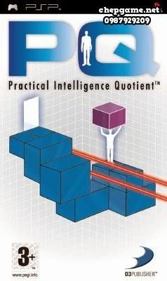 PQ Practical Intelligence Quotient