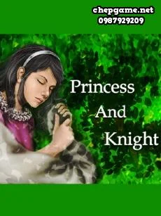 Princess And Knight