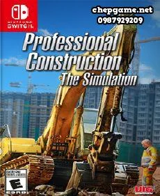 Professional Construction The Simulation