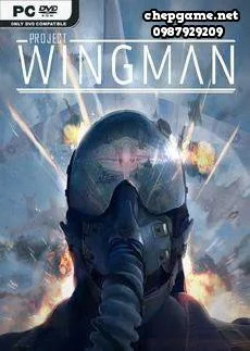 Project Wingman