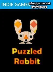 Puzzled Rabbit