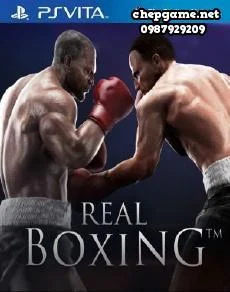 Real Boxing