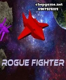 Rogue Fighter