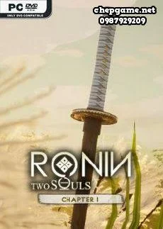 RONIN Two Souls